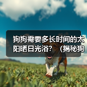 狗狗需要多长时间的太阳晒日光浴？（揭秘狗狗适宜的日光浴时长与注意事项）（图2）