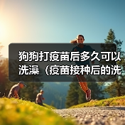 狗狗打疫苗后多久可以洗澡(疫苗接种后的洗澡时间和注意事项)(图2) 狗狗打疫苗后多久可以洗澡(疫苗接种后的洗澡时间和注意事项)(图2)