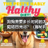 狗狗需要多长时间的太阳晒日光浴？（揭秘狗狗适宜的日光浴时长与注意事项）（图3）