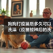 狗狗打疫苗后多久可以洗澡(疫苗接种后的洗澡时间和注意事项)(图4) 狗狗打疫苗后多久可以洗澡(疫苗接种后的洗澡时间和注意事项)(图4)