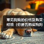 常见狗狗的价格及购买经验（你是否购买狗狗时花费过高？我是如何入手贵价狗狗的）（图1）
