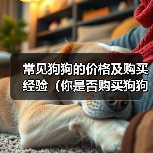 常见狗狗的价格及购买经验（你是否购买狗狗时花费过高？我是如何入手贵价狗狗的）（图3）