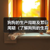 狗狗的生产周期及繁衍周期(了解狗狗的生育特点和生命周期,为宠物养殖提供参考)(图2) 狗狗的生产周期及繁衍周期(了解狗狗的生育特点和生命周期,为宠物养殖提供参考)(图2)