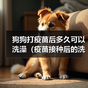 狗狗打疫苗后多久可以洗澡(疫苗接种后的洗澡时间和注意事项)(图1) 狗狗打疫苗后多久可以洗澡(疫苗接种后的洗澡时间和注意事项)(图1)