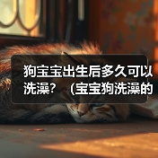 狗宝宝出生后多久可以洗澡？（宝宝狗洗澡的最佳时机和注意事项）（图3）