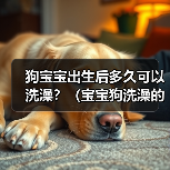 狗宝宝出生后多久可以洗澡？（宝宝狗洗澡的最佳时机和注意事项）（图2）