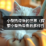 小型热带鱼的世界（探索小型热带鱼的多样性与美丽）（图4）