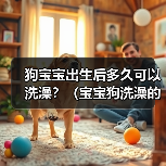 狗宝宝出生后多久可以洗澡？（宝宝狗洗澡的最佳时机和注意事项）（图4）