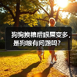 狗狗换粮后眼屎变多,是狗粮有问题吗?(图1) 狗狗换粮后眼屎变多,是狗粮有问题吗?(图1)