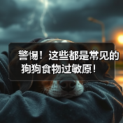 警惕!这些都是常见的狗狗食物过敏原!(图1) 警惕!这些都是常见的狗狗食物过敏原!(图1)