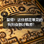 警惕!这些都是常见的狗狗食物过敏原!(图3) 警惕!这些都是常见的狗狗食物过敏原!(图3)
