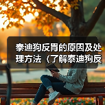 泰迪狗反胃的原因及处理方法（了解泰迪狗反胃的常见原因以及预防措施）（图1）