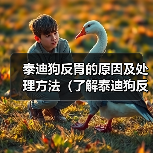 泰迪狗反胃的原因及处理方法（了解泰迪狗反胃的常见原因以及预防措施）（图4）