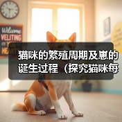 猫咪的繁殖周期及崽的诞生过程（探究猫咪每次产仔时间间隔和崽子的成长情况）（图4）
