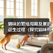 猫咪的繁殖周期及崽的诞生过程（探究猫咪每次产仔时间间隔和崽子的成长情况）（图3）