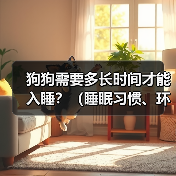 狗狗需要多长时间才能入睡?(睡眠习惯、环境因素和训练方式的影响)(图1) 狗狗需要多长时间才能入睡?(睡眠习惯、环境因素和训练方式的影响)(图1)