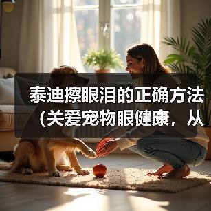 泰迪擦眼泪的正确方法(关爱宠物眼健康,从正确擦拭泰迪眼泪开始)(图1) 泰迪擦眼泪的正确方法(关爱宠物眼健康,从正确擦拭泰迪眼泪开始)(图1)