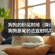 狗狗的断尾时间(探讨狗狗断尾的适宜时机与注意事项)(图1) 狗狗的断尾时间(探讨狗狗断尾的适宜时机与注意事项)(图1)
