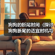 狗狗的断尾时间(探讨狗狗断尾的适宜时机与注意事项)(图4) 狗狗的断尾时间(探讨狗狗断尾的适宜时机与注意事项)(图4)