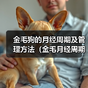 金毛狗的月经周期及管理方法(金毛月经周期、生理特征及护理方法详解)(图1) 金毛狗的月经周期及管理方法(金毛月经周期、生理特征及护理方法详解)(图1)