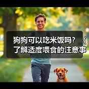 狗狗可以吃米饭吗？（了解适度喂食的注意事项和禁忌）（图4）
