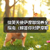 微笑天使萨摩耶饲养全指南(解答你对萨摩耶日常饲养问题的困惑)(图2) 微笑天使萨摩耶饲养全指南(解答你对萨摩耶日常饲养问题的困惑)(图2)