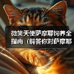 微笑天使萨摩耶饲养全指南(解答你对萨摩耶日常饲养问题的困惑)(图4) 微笑天使萨摩耶饲养全指南(解答你对萨摩耶日常饲养问题的困惑)(图4)