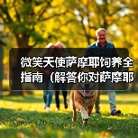 微笑天使萨摩耶饲养全指南(解答你对萨摩耶日常饲养问题的困惑)(图3) 微笑天使萨摩耶饲养全指南(解答你对萨摩耶日常饲养问题的困惑)(图3)