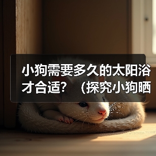 小狗需要多久的太阳浴才合适?(探究小狗晒太阳的最佳时间和时长)(图1) 小狗需要多久的太阳浴才合适?(探究小狗晒太阳的最佳时间和时长)(图1)