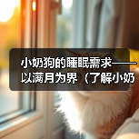 小奶狗的睡眠需求——以满月为界（了解小奶狗满月后的睡眠时长和注意事项）（图2）
