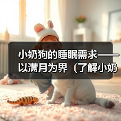 小奶狗的睡眠需求——以满月为界（了解小奶狗满月后的睡眠时长和注意事项）（图4）