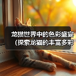 龙猫世界中的色彩盛宴(探索龙猫的丰富多彩之旅)(图1) 龙猫世界中的色彩盛宴(探索龙猫的丰富多彩之旅)(图1)