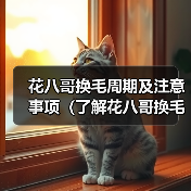 花八哥换毛周期及注意事项（了解花八哥换毛的时间和保持健康的方法）（图4）