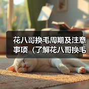 花八哥换毛周期及注意事项（了解花八哥换毛的时间和保持健康的方法）（图1）
