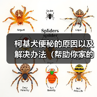 柯基犬便秘的原因以及解决办法（帮助你家的柯基犬摆脱便秘困扰）（图1）
