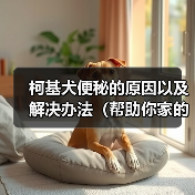 柯基犬便秘的原因以及解决办法（帮助你家的柯基犬摆脱便秘困扰）（图3）