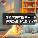 柯基犬便秘的原因以及解决办法（帮助你家的柯基犬摆脱便秘困扰）（图2）