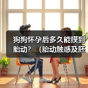 狗狗怀孕后多久能摸到胎动？（胎动触感及胚胎发育阶段）（图4）