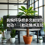 狗狗怀孕后多久能摸到胎动？（胎动触感及胚胎发育阶段）（图2）