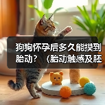 狗狗怀孕后多久能摸到胎动？（胎动触感及胚胎发育阶段）（图3）