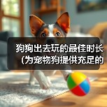 狗狗出去玩的最佳时长(为宠物狗提供充足的户外活动时间的重要性)(图4) 狗狗出去玩的最佳时长(为宠物狗提供充足的户外活动时间的重要性)(图4)