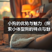 小狗的优势与魅力（探索小体型狗的特点与魅力，发现它们的无限魅力）（图1）
