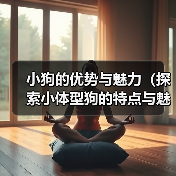 小狗的优势与魅力（探索小体型狗的特点与魅力，发现它们的无限魅力）（图4）