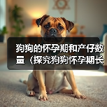 狗狗的怀孕期和产仔数量(探究狗狗怀孕期长短及每胎产仔数量的因素)(图1) 狗狗的怀孕期和产仔数量(探究狗狗怀孕期长短及每胎产仔数量的因素)(图1)