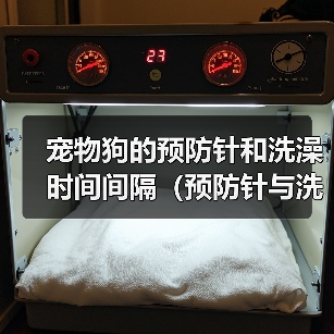 宠物狗的预防针和洗澡时间间隔(预防针与洗澡,健康宠物狗的护理关键)(图3) 宠物狗的预防针和洗澡时间间隔(预防针与洗澡,健康宠物狗的护理关键)(图3)