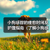 小狗感冒的痊愈时间及护理指南(了解小狗感冒的康复时间,为宠物提供适当的护理)(图1) 小狗感冒的痊愈时间及护理指南(了解小狗感冒的康复时间,为宠物提供适当的护理)(图1)