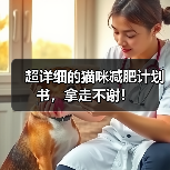 超详细的猫咪减肥计划书,拿走不谢!(图4) 超详细的猫咪减肥计划书,拿走不谢!(图4)