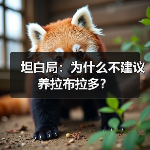 坦白局:为什么不建议养拉布拉多?(图1) 坦白局:为什么不建议养拉布拉多?(图1)