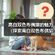 高白双色布偶猫的魅力(探索高白双色布偶猫的独特魅力,迷人的品种特征和可爱的个性)(图4) 高白双色布偶猫的魅力(探索高白双色布偶猫的独特魅力,迷人的品种特征和可爱的个性)(图4)