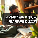 正确照顾边牧犬的方法(喂养边牧需要注意的事项)(图2) 正确照顾边牧犬的方法(喂养边牧需要注意的事项)(图2)